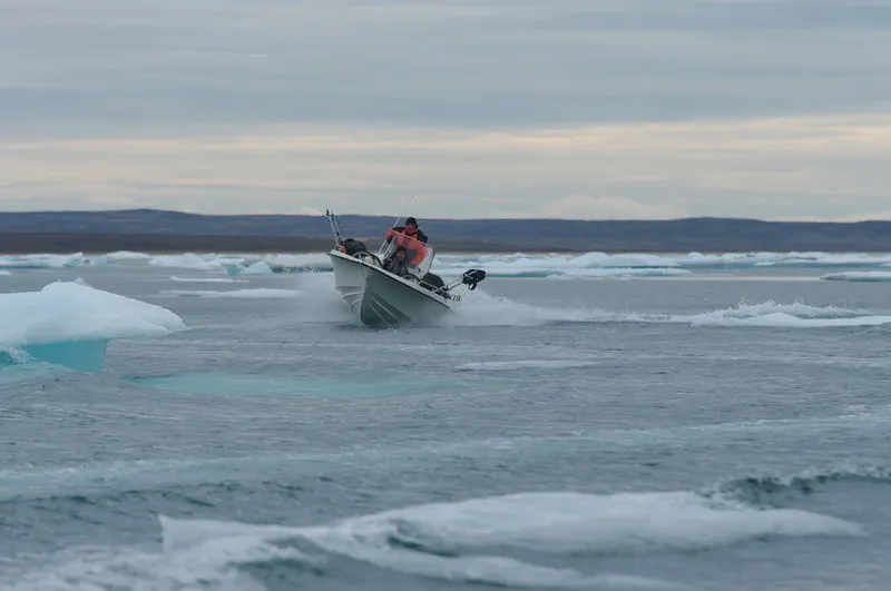 Klicka för att förstora