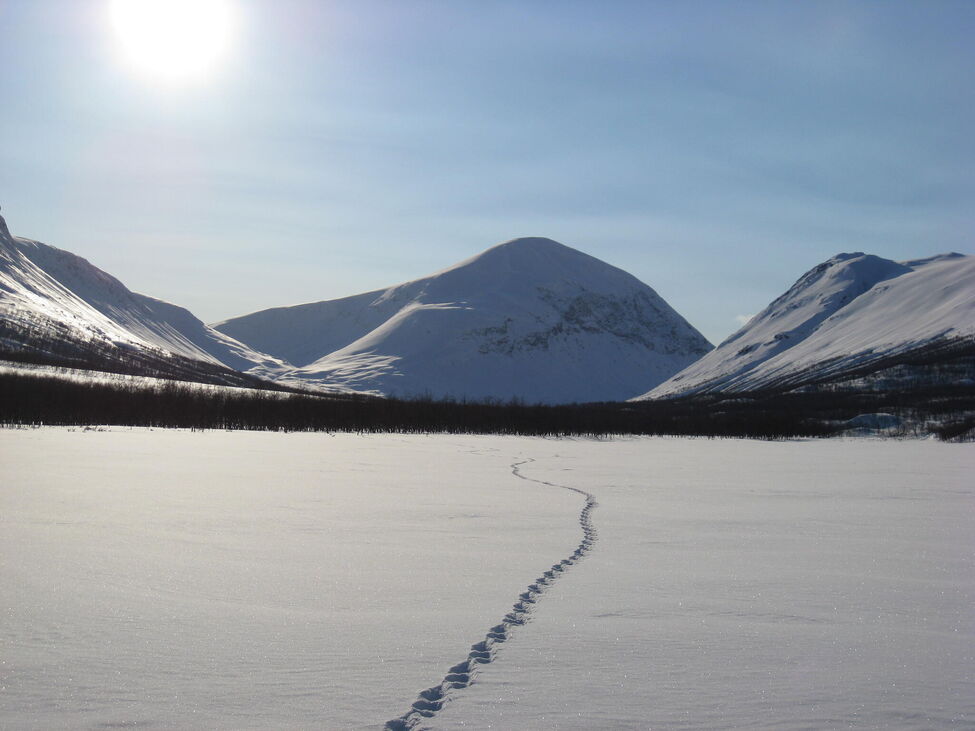 Klicka för att förstora
