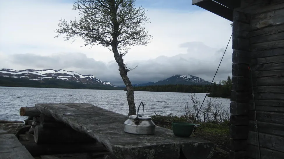 Klicka för att förstora