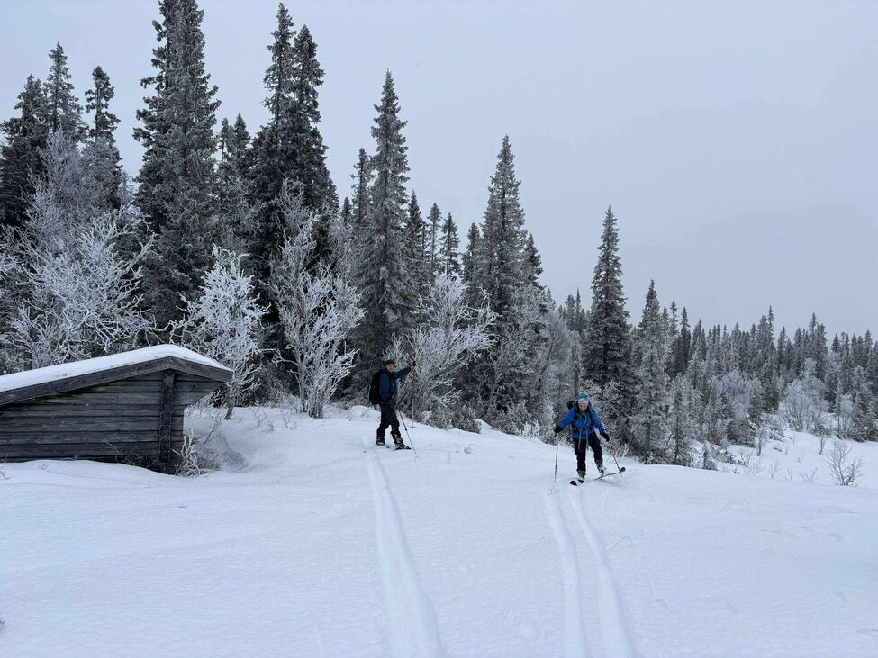 Klicka för att förstora