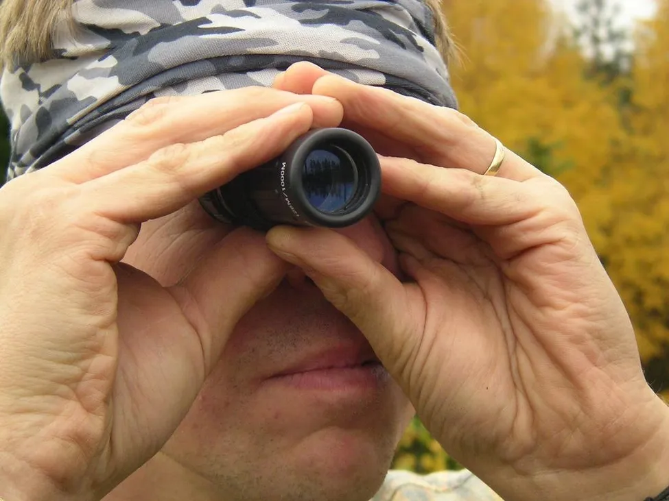 Klicka för att förstora