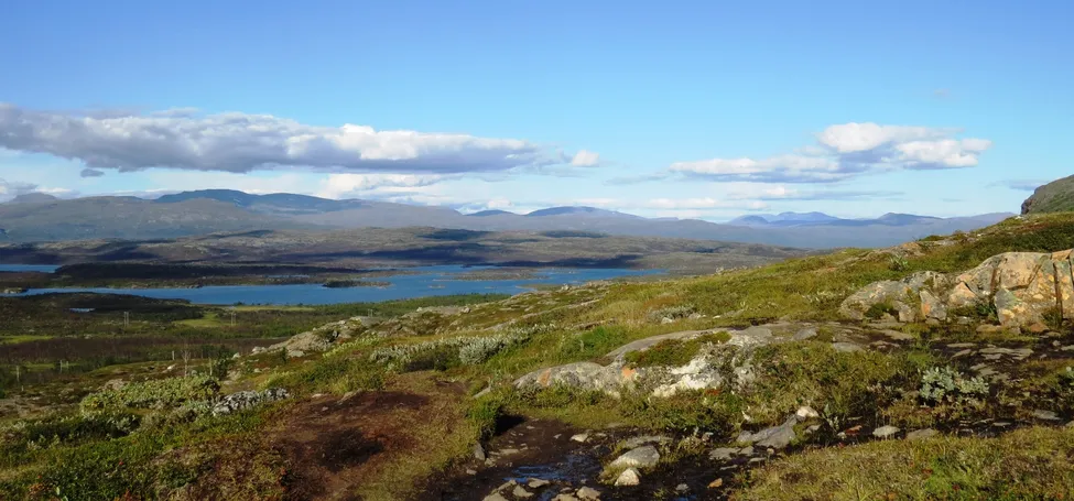 Klicka för att förstora