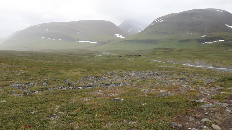 Klicka för att förstora