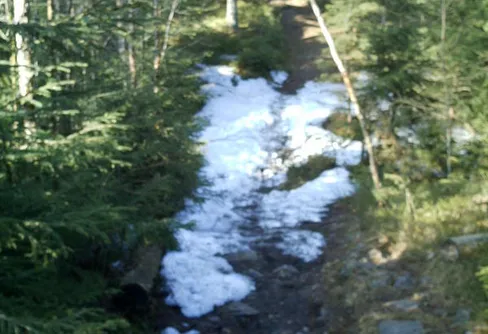 Håll hjärnan ung....