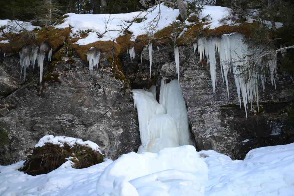 Klicka för att förstora
