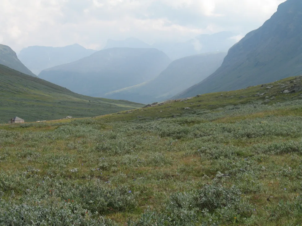 Klicka för att förstora