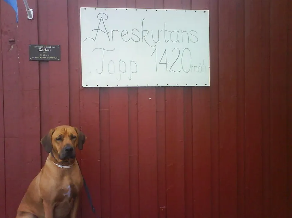Klicka för att förstora