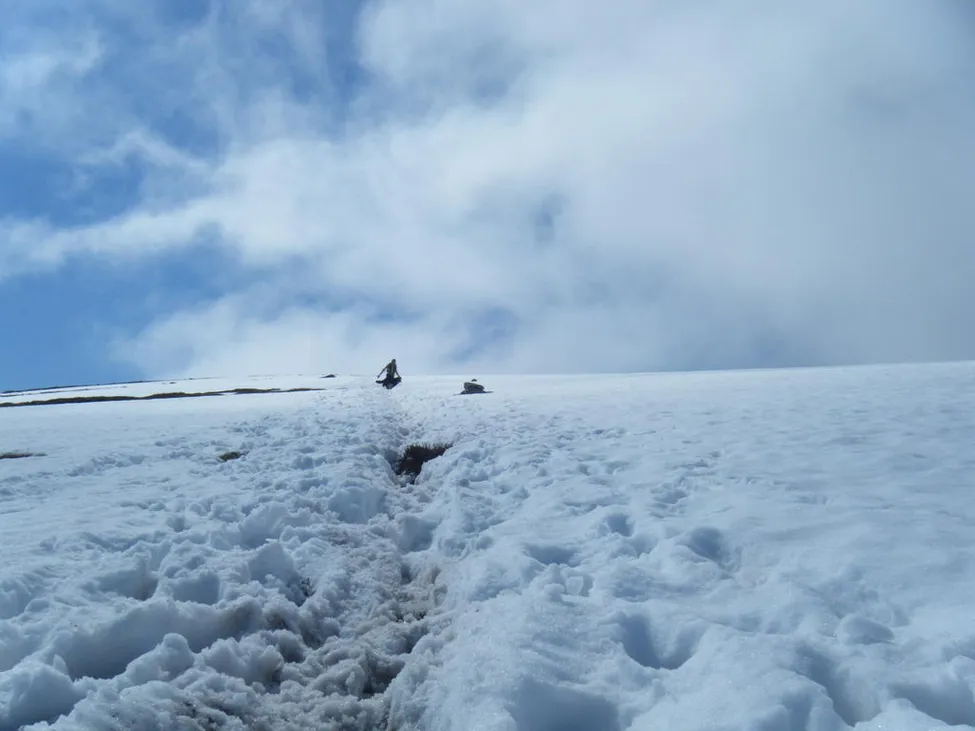 Klicka för att förstora