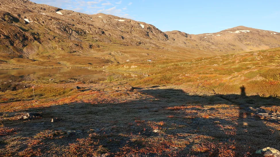 Klicka för att förstora