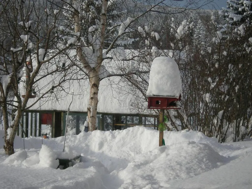 Klicka för att förstora
