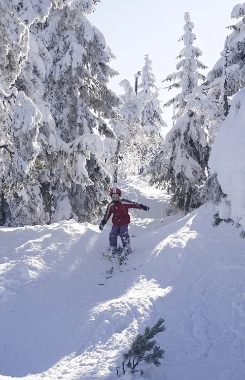 Klicka för att förstora