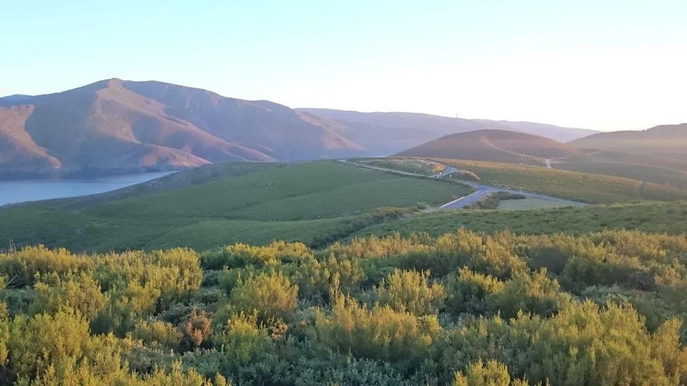 Klicka för att förstora