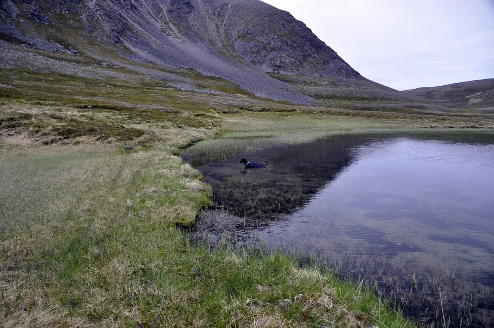 Klicka för att förstora