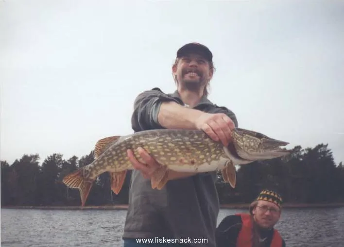 Klicka för att förstora