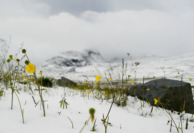 Klicka för att förstora
