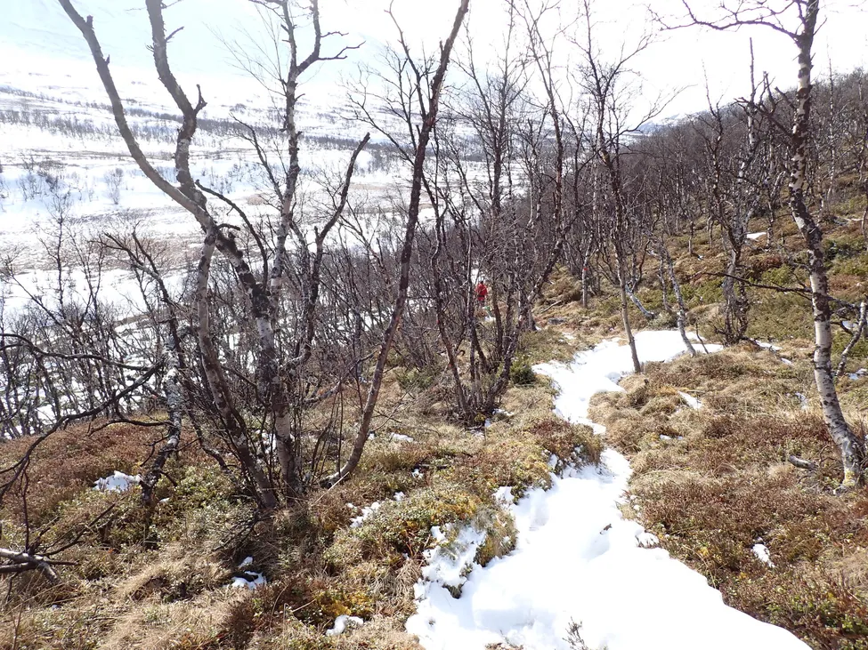 Klicka för att förstora