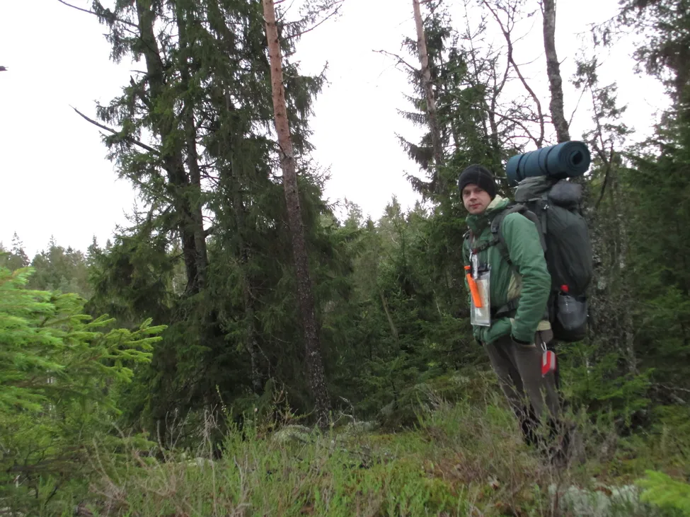 Klicka för att förstora