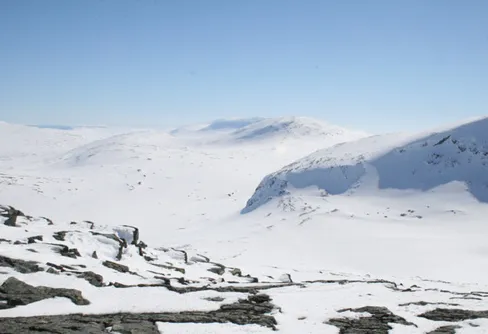STFs ansökan om ny markupplåtelse har godkänts