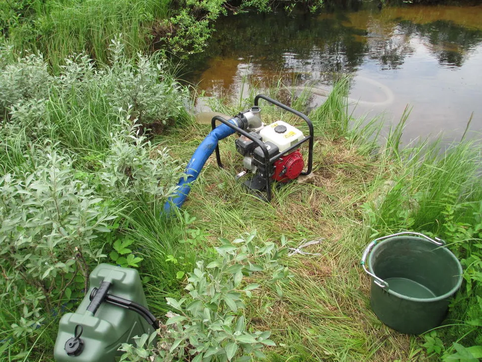 Klicka för att förstora