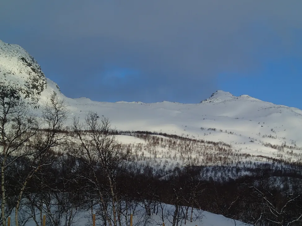Klicka för att förstora