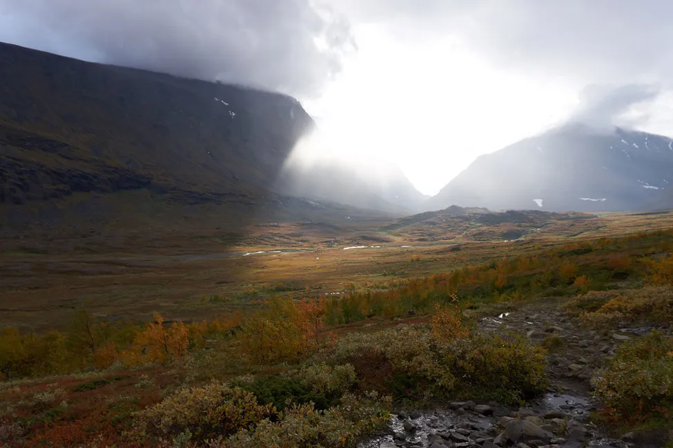 Klicka för att förstora