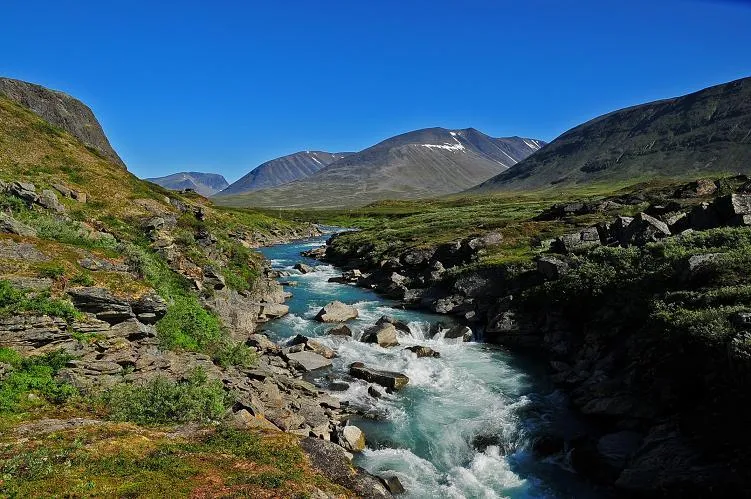 Klicka för att förstora