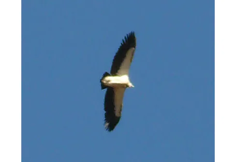 Resa till Nepal. Del 3.