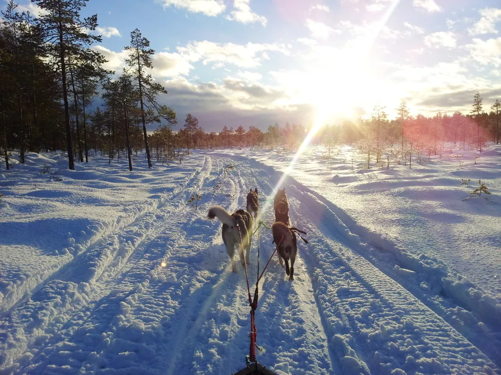 Klicka för att förstora