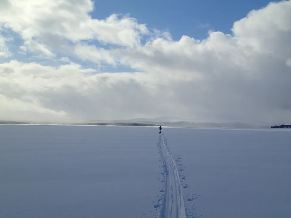 Klicka för att förstora