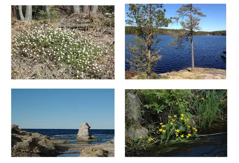 Ute finns mycket att göra