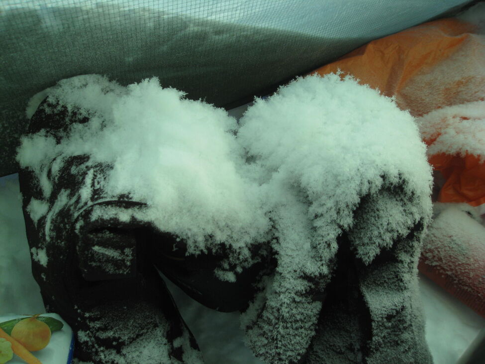 Klicka för att förstora