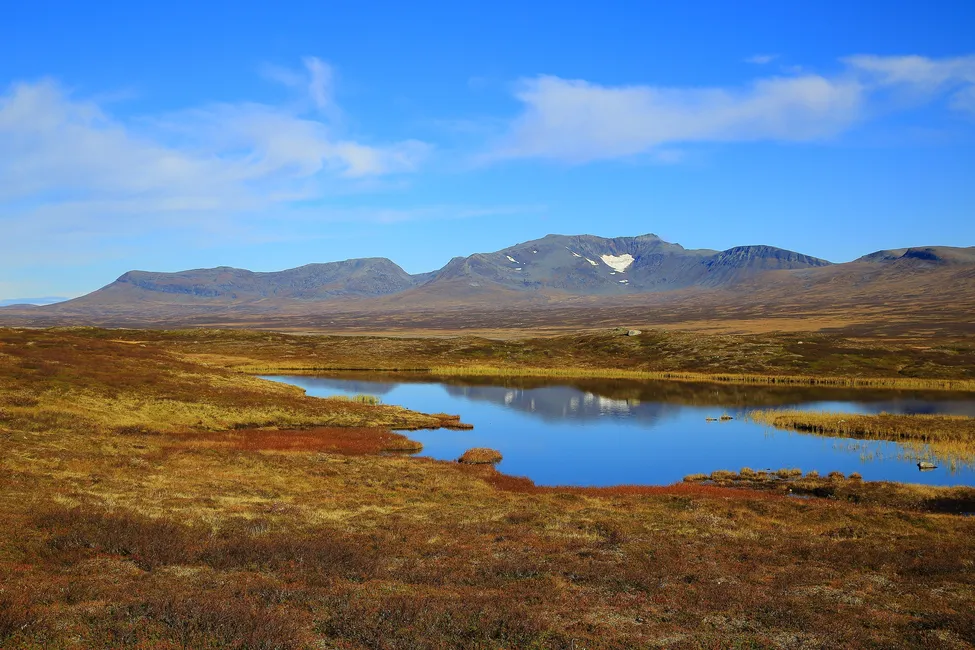 Klicka för att förstora