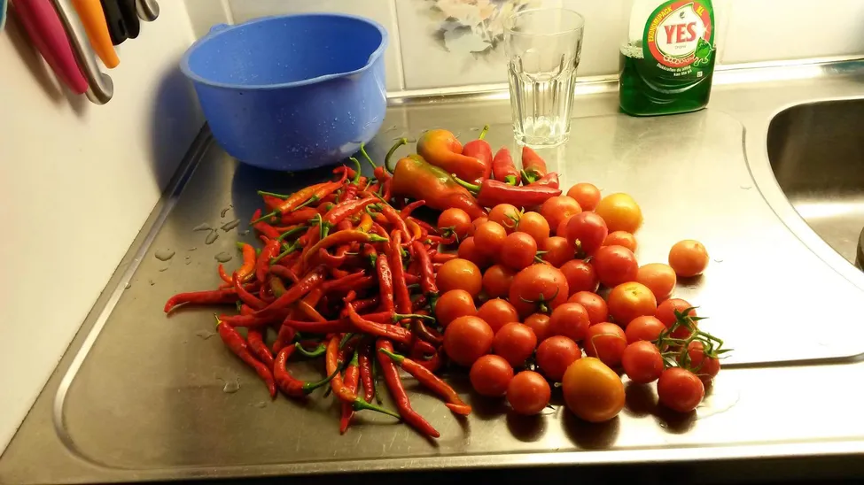 Klicka för att förstora