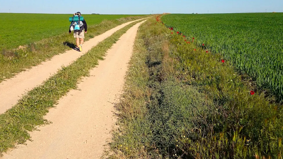 Klicka för att förstora