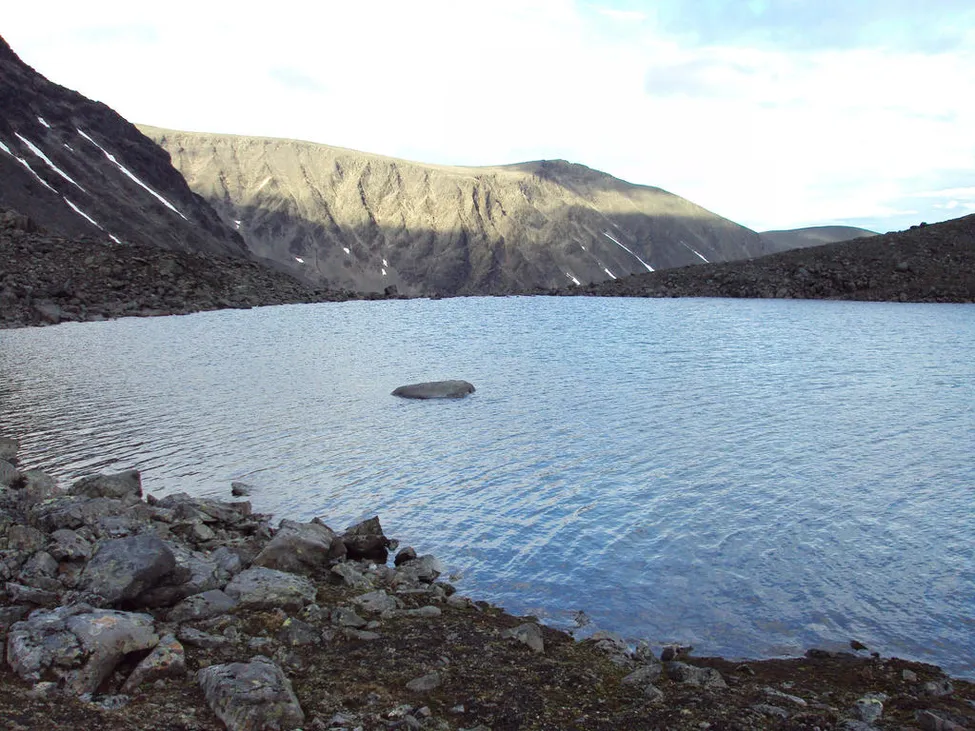 Klicka för att förstora