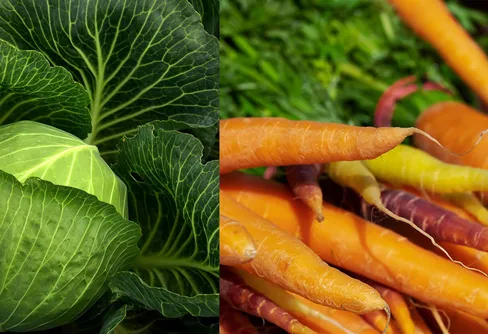 Torka mat till sommarens turer!