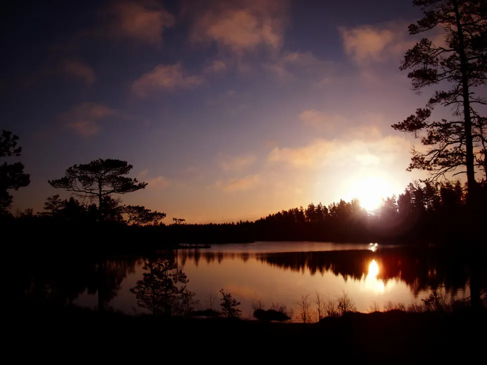 Klicka för att förstora