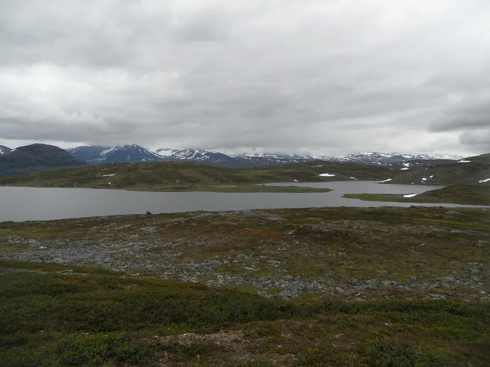 Klicka för att förstora