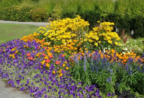 Några underbara septemberdagar på Gotland