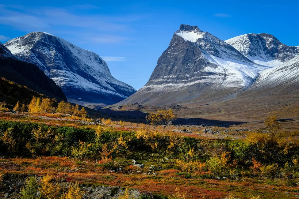 Klicka för att förstora