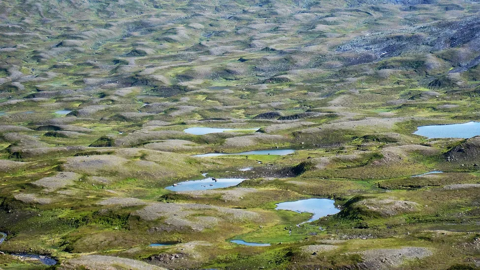 Klicka för att förstora