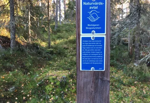 Allt fler markägare positiva till att etablera naturreservat