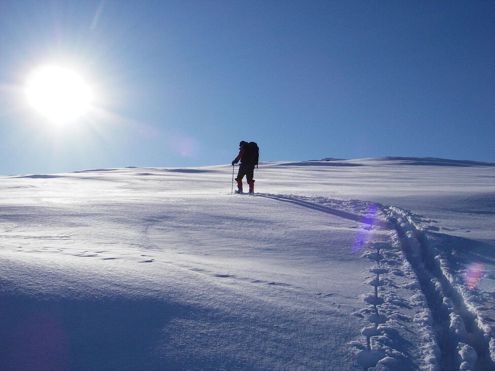 Klicka för att förstora