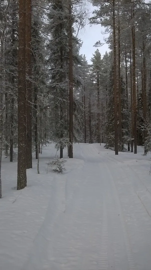 Klicka för att förstora