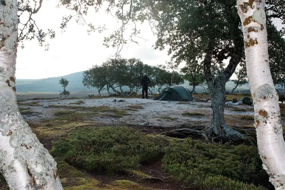 Klicka för att förstora