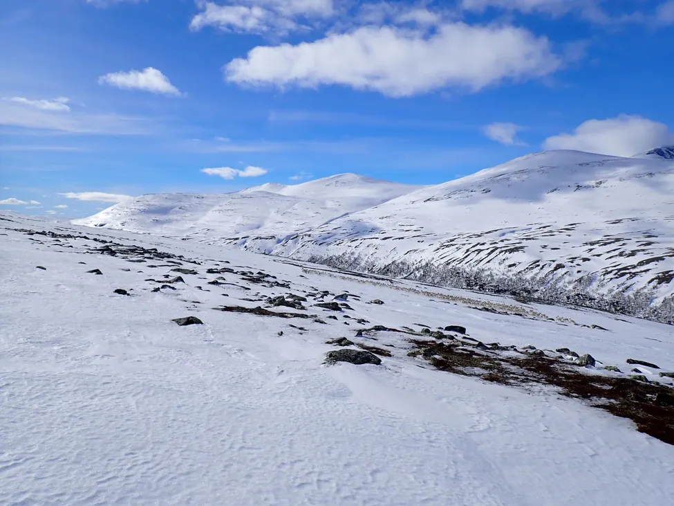 Klicka för att förstora
