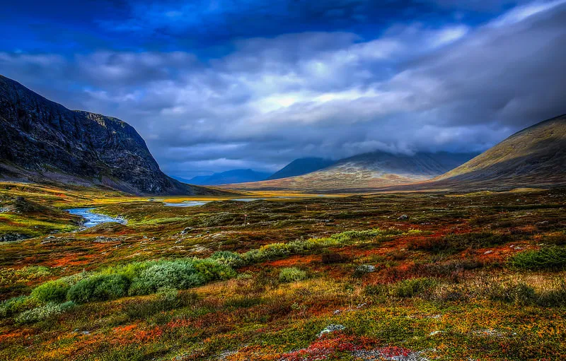 Klicka för att förstora