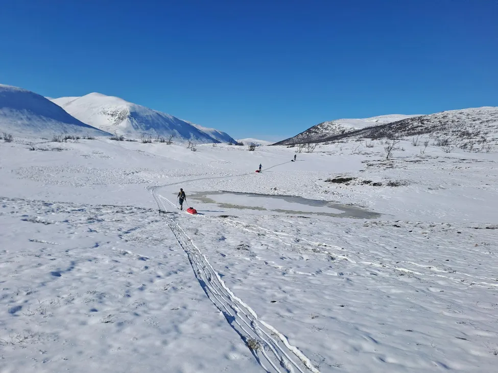 Klicka för att förstora
