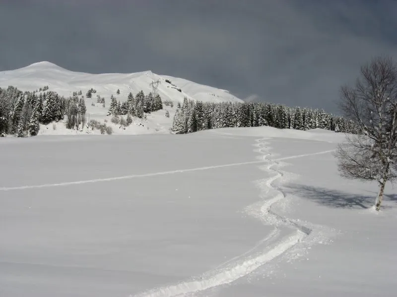 Klicka för att förstora