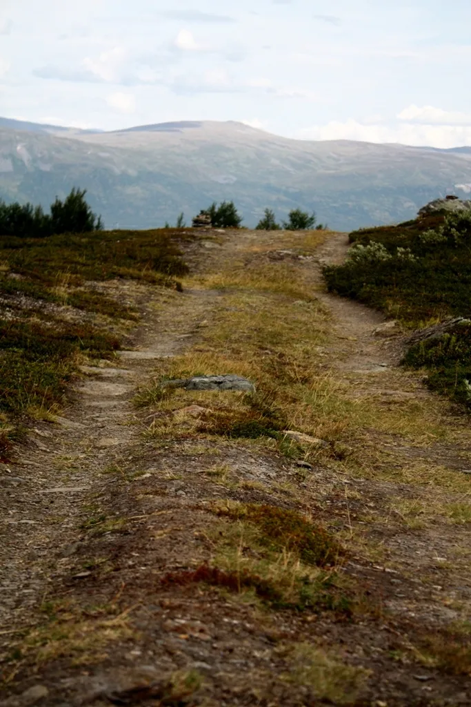 Klicka för att förstora